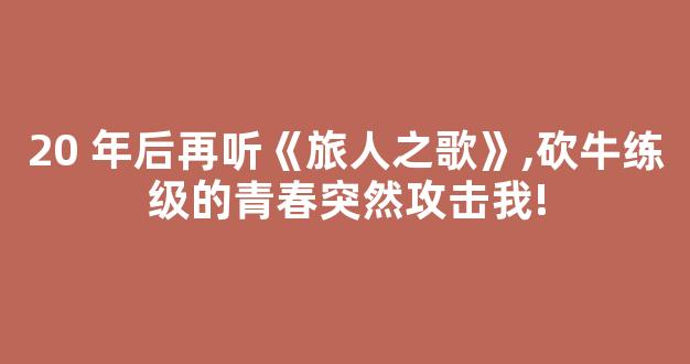 20 年后再听《旅人之歌》,砍牛练级的青春突然攻击我!